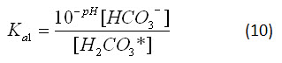 equation 10