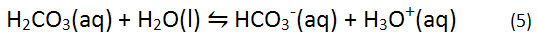 formation of bicarbonate