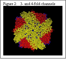 Text Box: Figure 2:    3- and 4-fold channels        