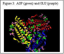 Text Box: Figure 3:  ASP (green) and GLU (purple)           