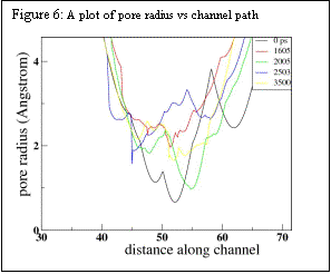 Text Box: Figure 6: A plot of pore radius vs channel path             