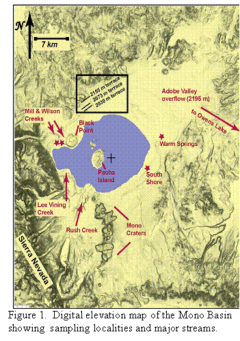 Text Box:  Figure 1.  Digital elevation map of the Mono Basin showing  sampling localities and major streams.