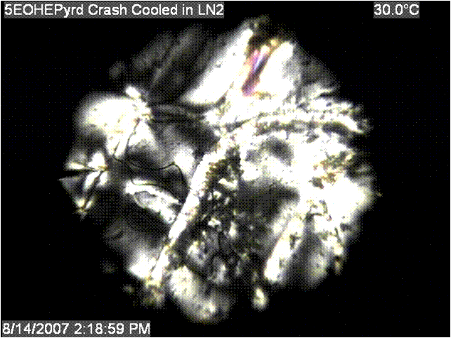 Text Box:
Figure 2: Frozen Nematic of a
Pyridone Mesogen
