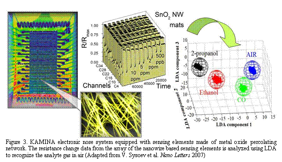 Text Box:
Figure 3. KAMINA electronic nose system equipped with sensing elements made of metal oxide percolating network. The resistance change data from the array of the nanowire based sensing elements is analyzed using LDA to recognize the analyte gas in air (Adapted from V. Sysoev et al. Nano Letters 2007)
