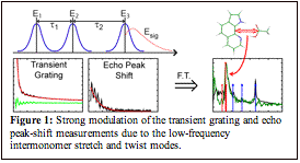 Text Box:
Figure 1: Strong modulation of the transient grating and echo peak-shift measurements due to the low-frequency intermonomer stretch and twist modes.
