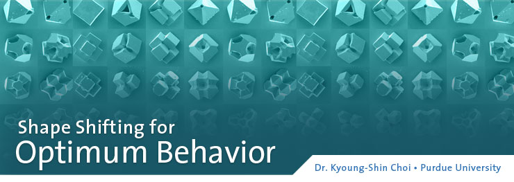 Shape Shifting for Optimum Behavior: Kyoung-Shin Choi, Ph.D.