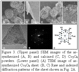 Text Box:
Figure 3. (Upper panel) SEM images of the as-synthesized (A, B) and calcined (C, D) Co3O4 powders. (Lower panel) (A) TEM image of as-synthesized Co3O4 sheet. (B, C) Raw and indexed diffraction patterns of the sheet shown in Fig. 2A.