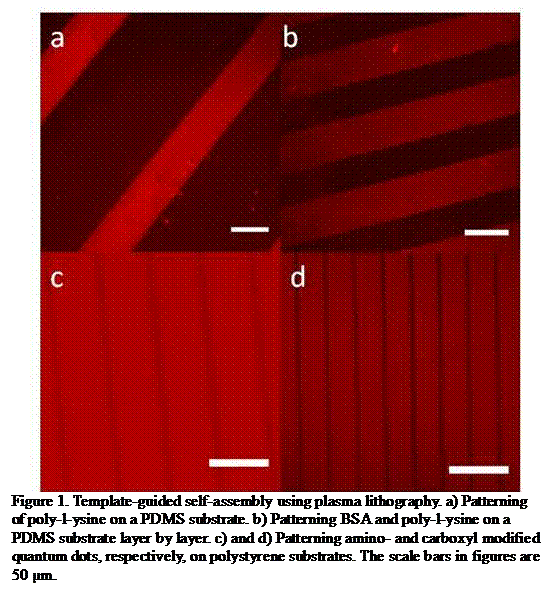 Text Box:
Figure 1. Template-guided self-assembly using plasma lithography. a) Patterning of poly-l-ysine on a PDMS substrate. b) Patterning BSA and poly-l-ysine on a PDMS substrate layer by layer. c) and d) Patterning amino- and carboxyl modified quantum dots, respectively, on polystyrene substrates. The scale bars in figures are 50 µm.
