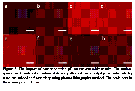 Text Box:
Figure 2. The impact of carrier solution pH on the assembly results. The amino-group functionalized quantum dots are patterned on a polystyrene substrate by template-guided self-assembly using plasma lithography method. The scale bars in these images are 50 µm.
