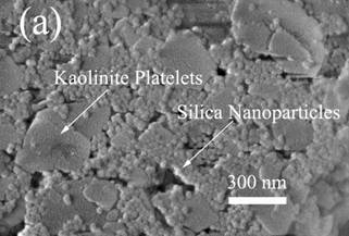 Stability Behavior of Clay/Nanoparticle Suspensions
