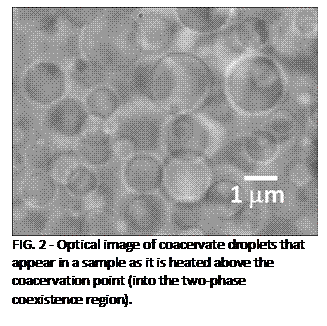 Text Box:
FIG. 2 - Optical image of coacervate droplets that appear in a sample as it is heated above the coacervation point (into the two-phase coexistence region).
