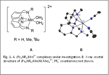 
A	B
Fig. 1. A. (Py2NR2)Mn2+ complexes under investigation. B. X-ray crystal structure of (Py2NR2)Mn(NCMe)22+; PF6- counterions not shown.
