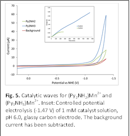 
Fig. 5. Catalytic waves for (Py2NH2)Mn2+ and (Py3NH3)Mn2+. Inset: Controlled potential electrolysis (-1.47 V) of 1 mM catalyst solution, pH 6.0, glassy carbon electrode. The background current has been subtracted.
