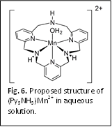  Fig. 6. Proposed structure of (Py3NH3)Mn2+ in aqueous solution.