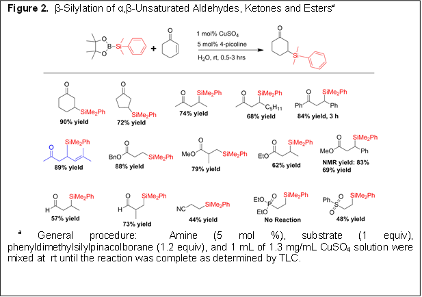 Figure 2. β-Silylation of α,β-Unsaturated Aldehydes, Ketones and Estersa a General procedure: Amine (5 mol %), substrate (1 equiv), phenyldimethylsilylpinacolborane (1.2 equiv), and 1 mL of 1.3 mg/mL CuSO4 solution were mixed at rt until the reaction was complete as determined by TLC.
