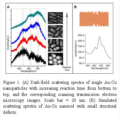 
Figure 1. (A) Dark-field scattering spectra of single Au-Cu nanoparticles with increasing reaction time from bottom to top, and the corresponding scanning transmission electron microscopy images. Scale bar = 20 nm. (B) Simulated scattering spectra of Au-Cu nanorod with small structural defects.
