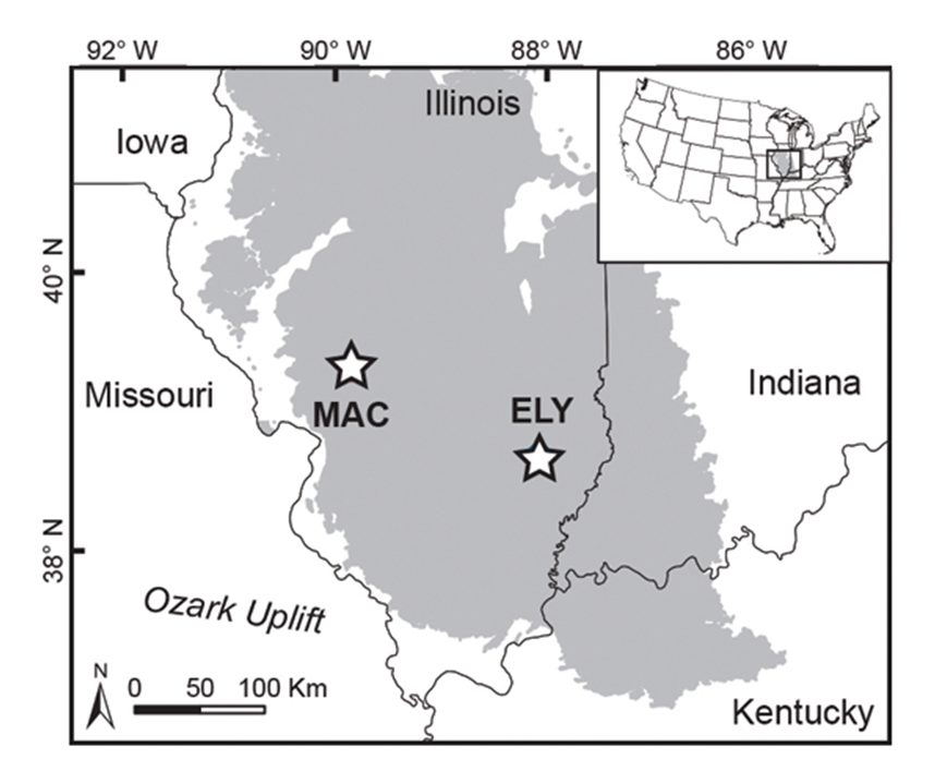 Illinois Basin