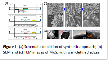 
Figure 1. (a) Schematic depiction of synthetic approach; (b) SEM and (c) TEM images of MoS2 with well-defined edges.
