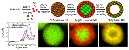 Text Box:
Figure 1. Schematic illustration of hollow Pt-Ag nanoparticle formation, and the corresponding scanning transmission electron microscopy- energy dispersive X-ray spectroscopy images of the nanoparticles during reaction.