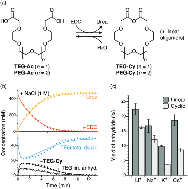 Figure 2. (a) Macrocyclization of diacids TEG-Ac and PEG-Ac fueled by EDC. (b) Typical kinetic run for the TEG-Ac system, in the presence of NaCl. (c) Yields of the macrocycle TEG-Cy and linear anhydrides in the presence of various cations.