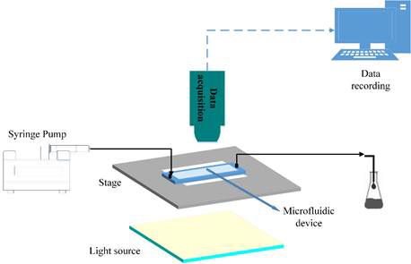 Report An Experimental Investigation Of Flow Instabilities - 