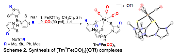 Text Box:
Scheme 2. Synthesis of [TmRFe(CO)3](OTf) complexes.
