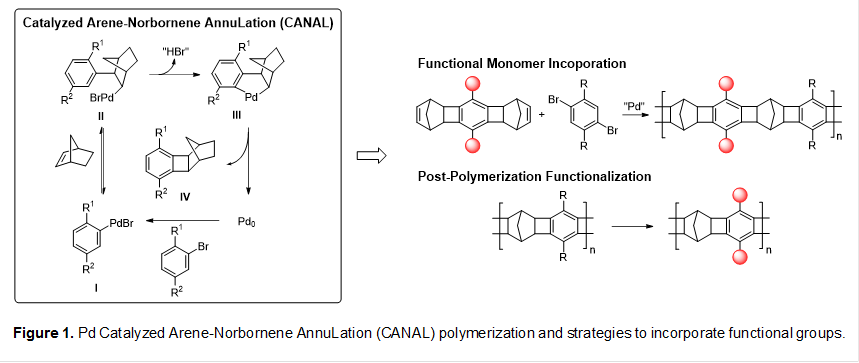 
Figure 1. Pd Catalyzed Arene-Norbornene AnnuLation (CANAL) polymerization and strategies to incorporate functional groups.
