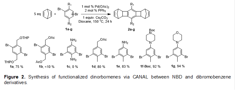 
Figure 2. Synthesis of functionalized dinorbornenes via CANAL between NBD and dibromobenzene derivatives.
