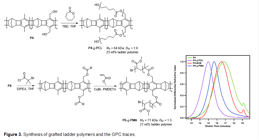 
Figure 3. Synthesis of grafted ladder polymers and the GPC traces.
