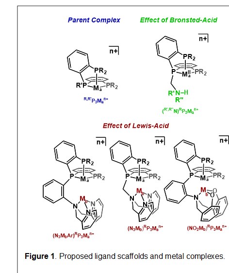 
Figure 1. Proposed ligand scaffolds and metal complexes.