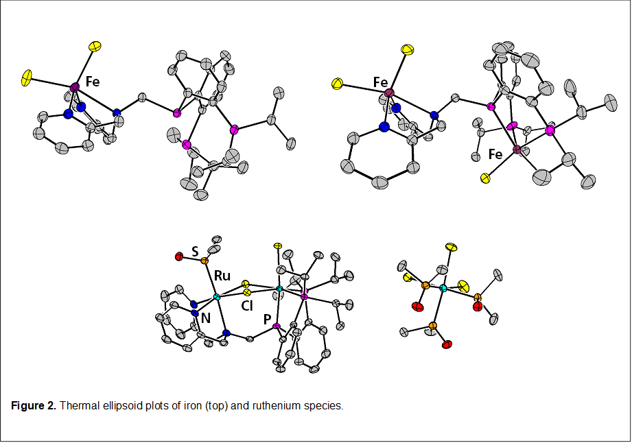 
Figure 2. Thermal ellipsoid plots of iron (top) and ruthenium species.
