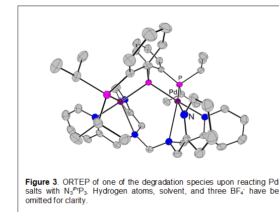 
Figure 3. ORTEP of one of the degradation species upon reacting Pd(II) salts with N3iPrP3. Hydrogen atoms, solvent, and three BF4- have been omitted for clarity.

