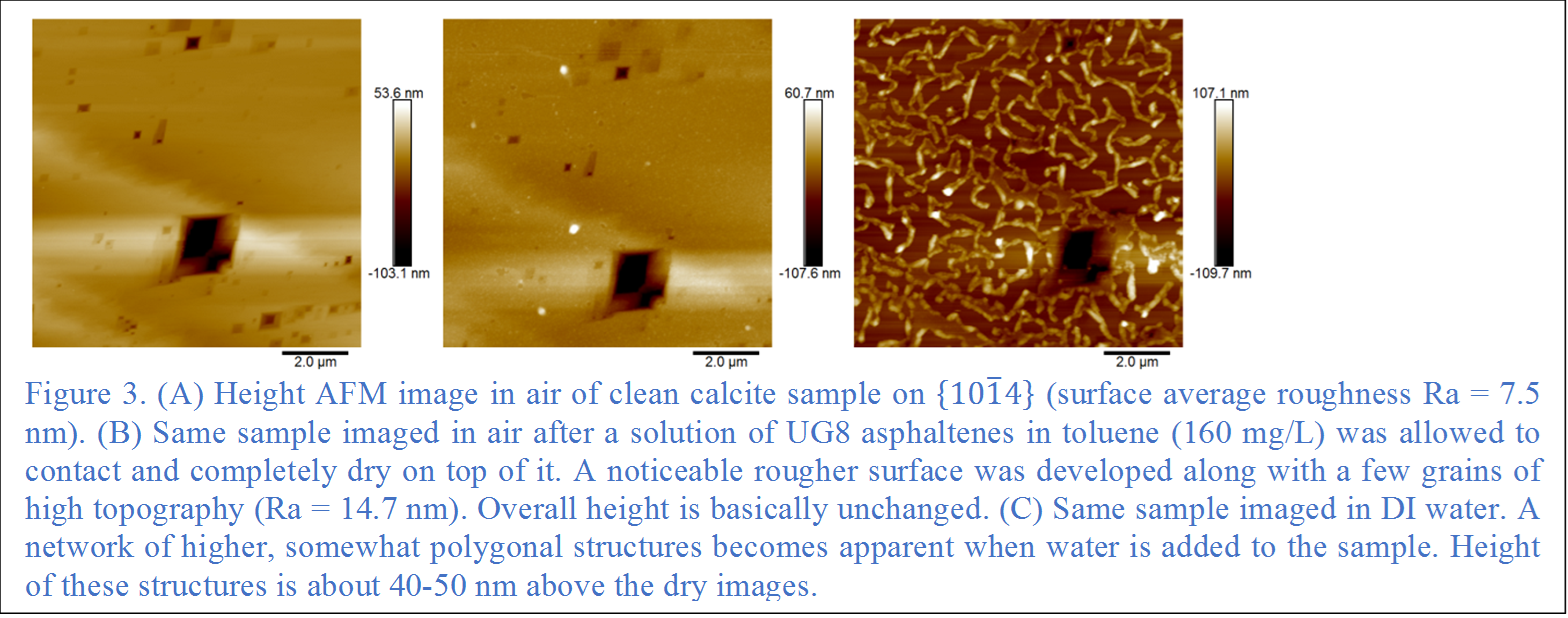 
Figure 3. (A) Height AFM image in air of clean calcite sample on {101 ̅4} (surface average roughness Ra = 7.5 nm). (B) Same sample imaged in air after a solution of UG8 asphaltenes in toluene (160 mg/L) was allowed to contact and completely dry on top of it. A noticeable rougher surface was developed along with a few grains of high topography (Ra = 14.7 nm). Overall height is basically unchanged. (C) Same sample imaged in DI water. A network of higher, somewhat polygonal structures becomes apparent when water is added to the sample. Height of these structures is about 40-50 nm above the dry images.